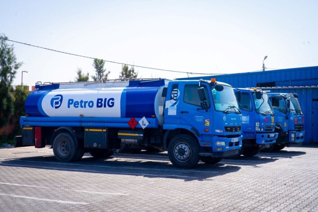 Le Réseau PetroBig